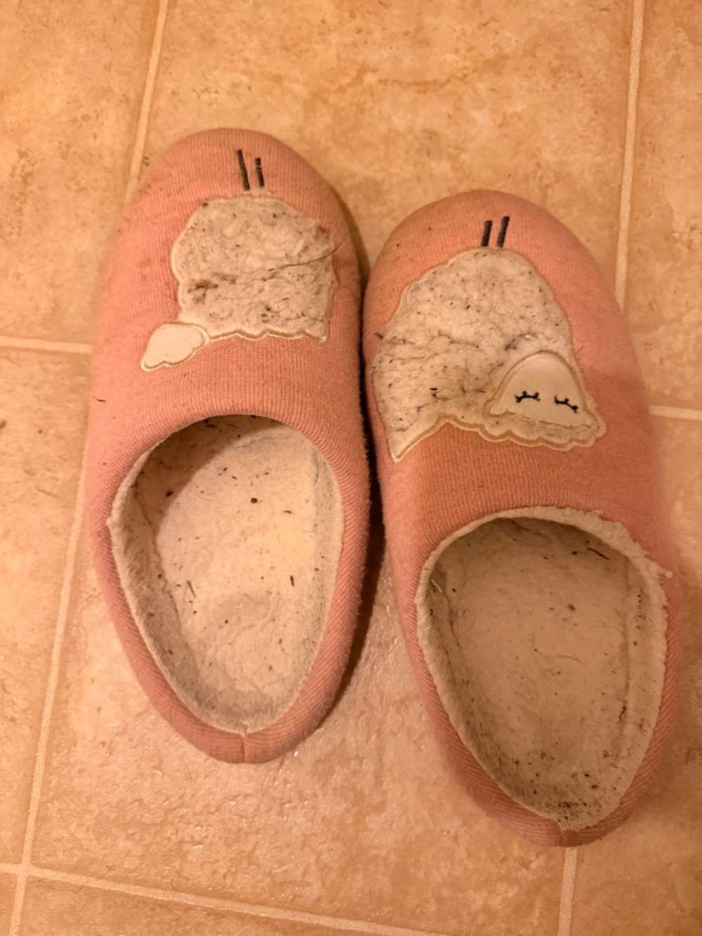 pink Well Worn Slippers